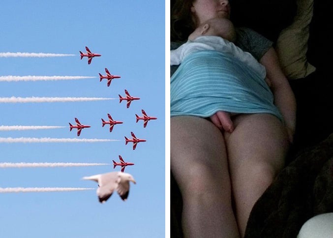 17 fotografías que demuestran la importancia de capturar el momento exacto