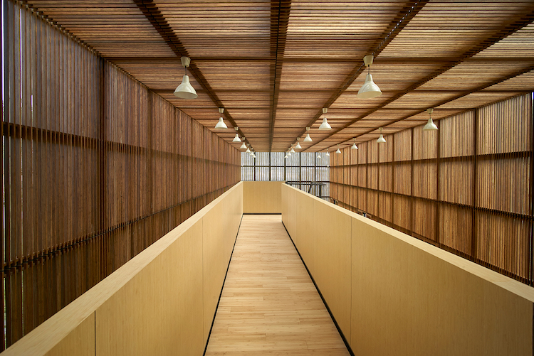 Bienal de Bambu China Baoxi 15