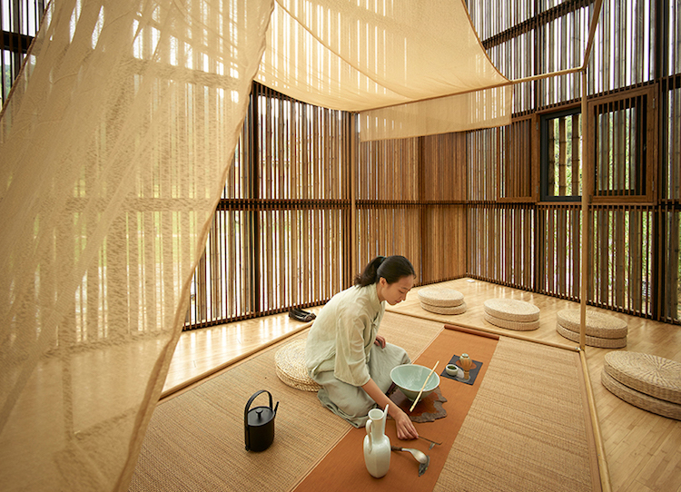 Bienal de Bambu China Baoxi 6