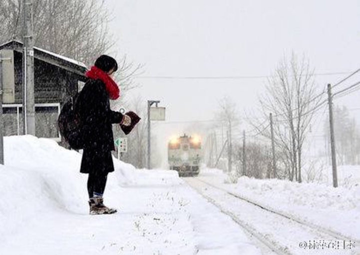 Kami Shirataki tren Japon