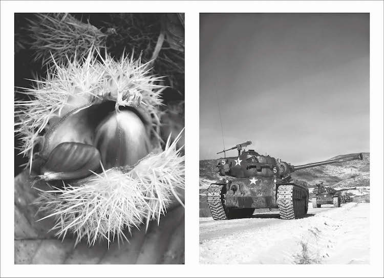 Photographic Treatment demecia Laurence Aegerter 2