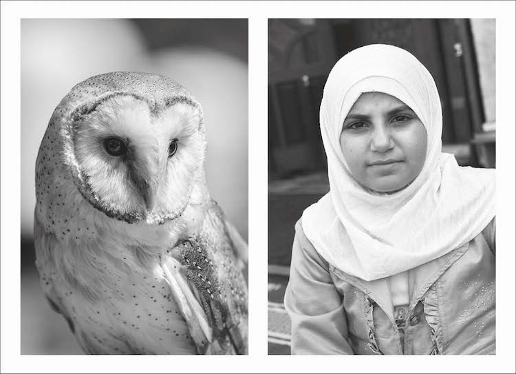 Photographic Treatment demecia Laurence Aegerter 4