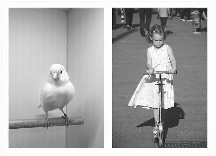 Photographic Treatment demecia Laurence Aegerter 9