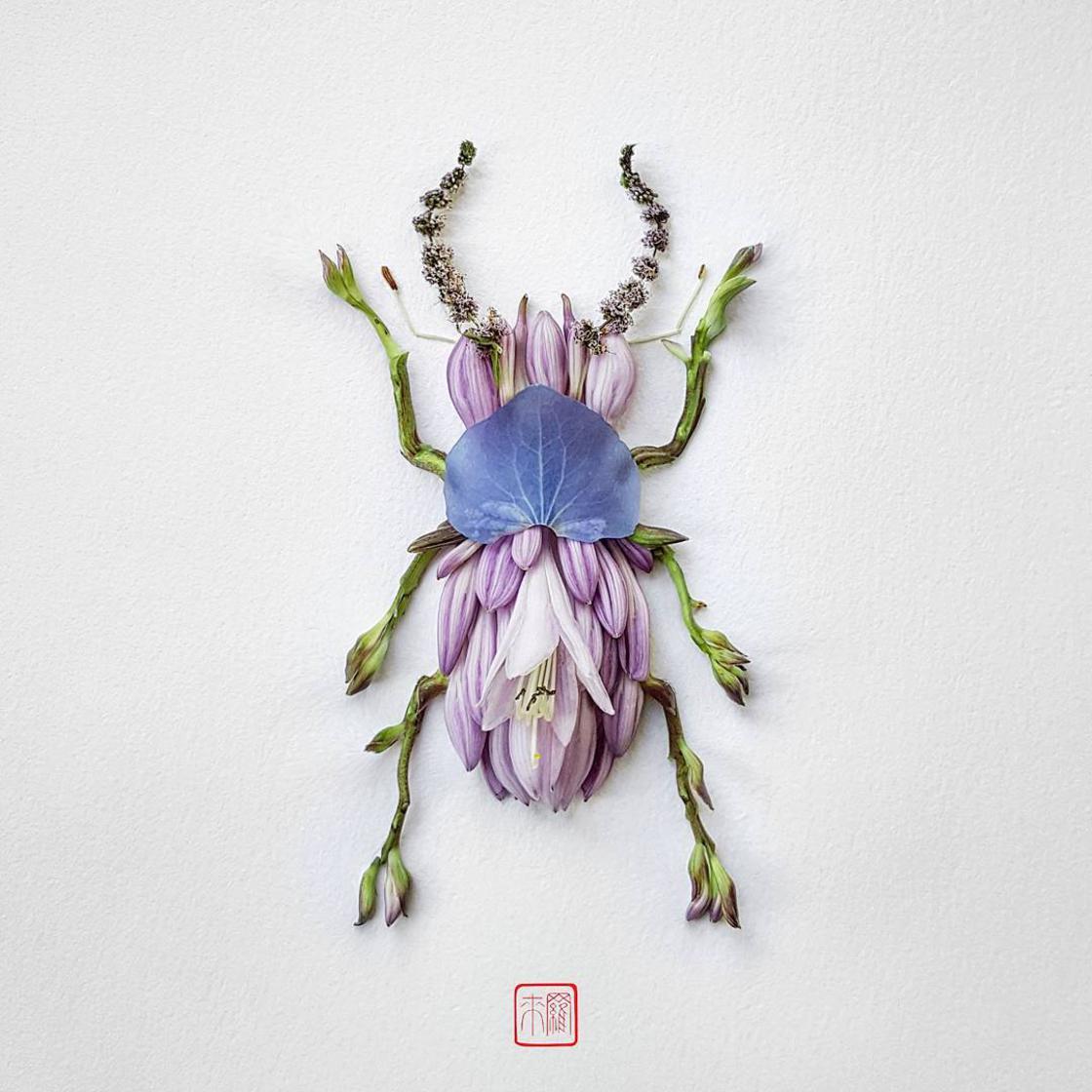 Raku Inoue Natura Insects insectos arte