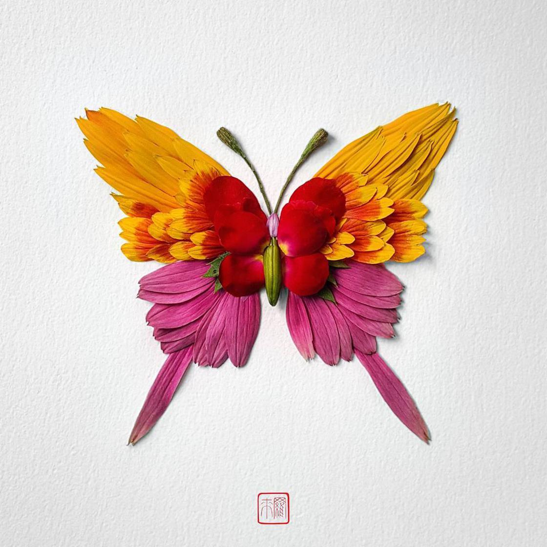 Raku Inoue Natura Insects insectos arte 2