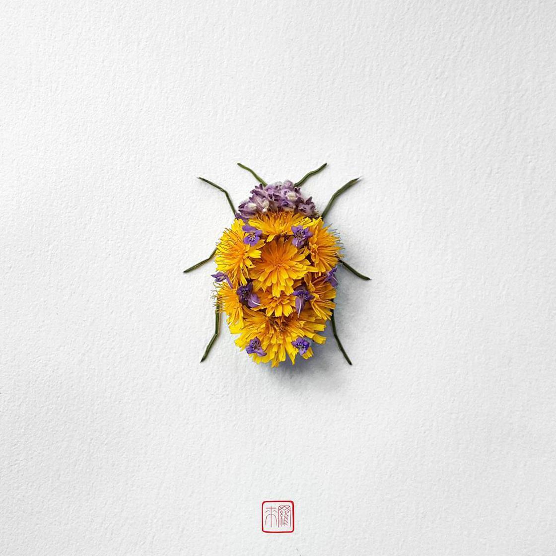 Raku Inoue Natura Insects insectos arte 3