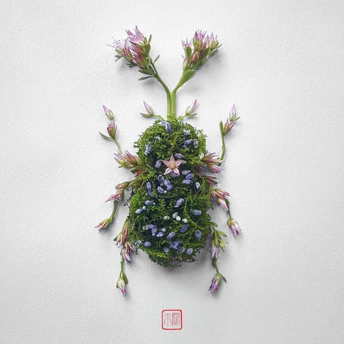 Raku Inoue Natura Insects insectos arte 4