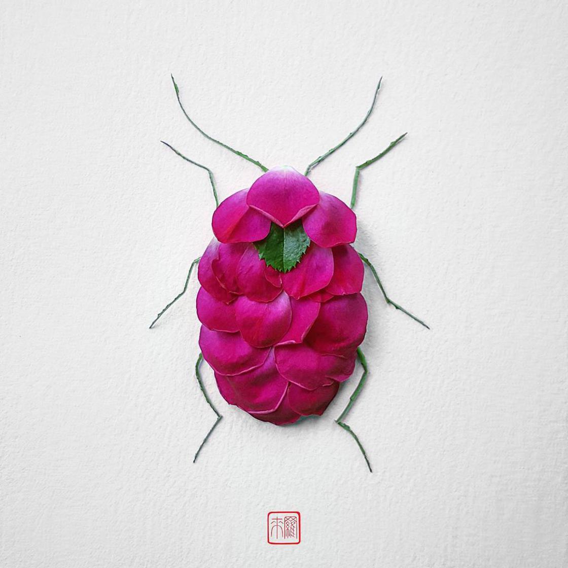 Raku Inoue Natura Insects insectos arte 5