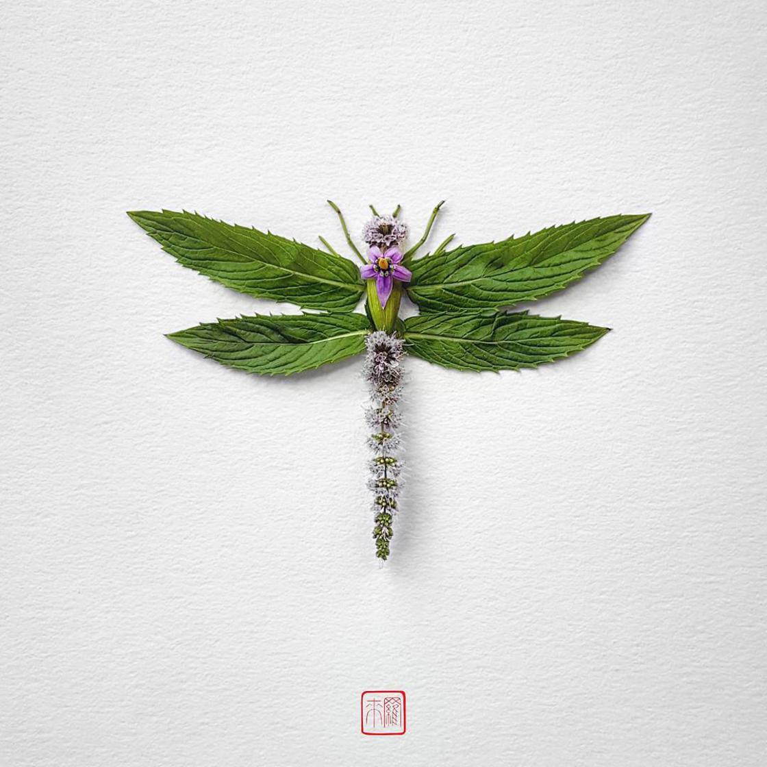 Raku Inoue Natura Insects insectos arte 6