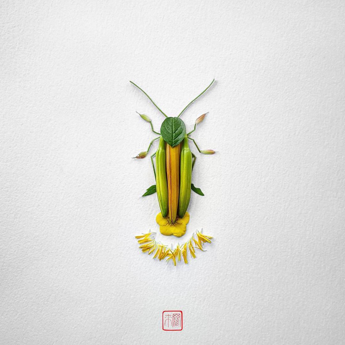 Raku Inoue Natura Insects insectos arte 7