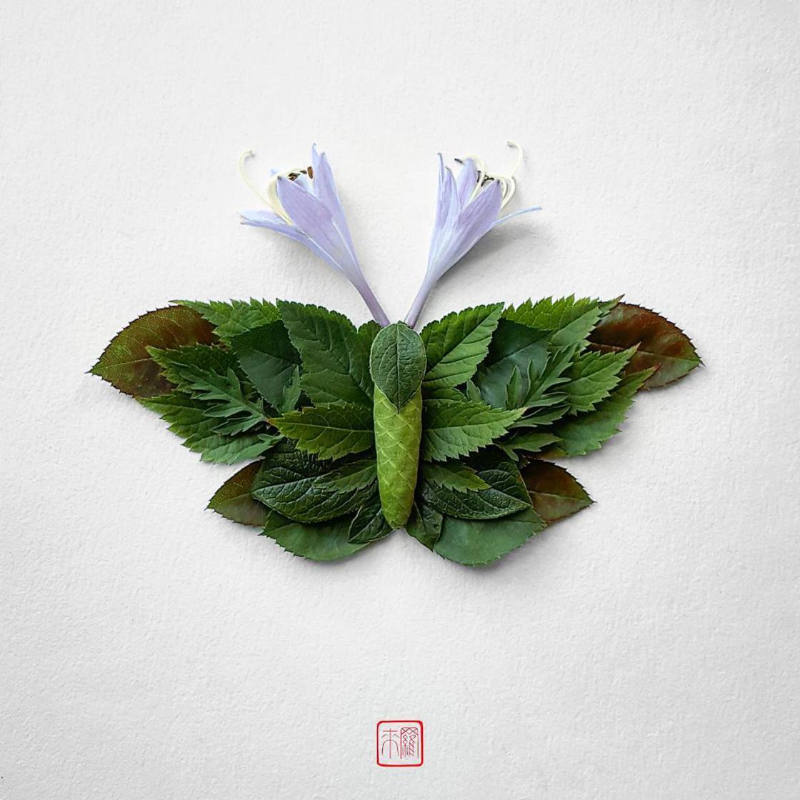 Raku Inoue Natura Insects insectos arte 8