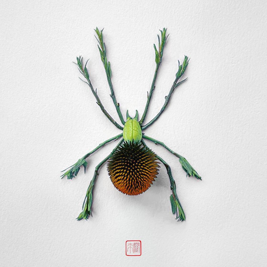 Raku Inoue Natura Insects insectos arte 9