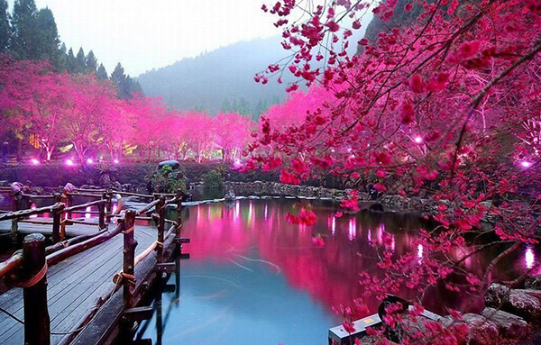 japon jardin haiku 3