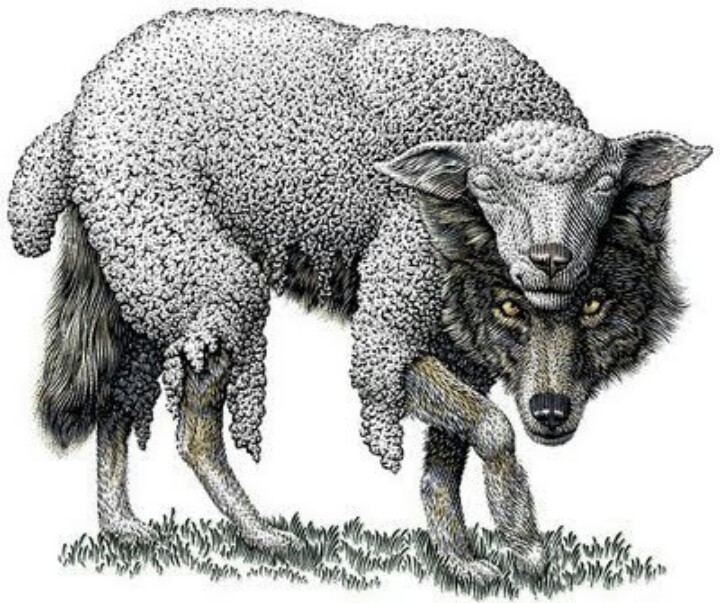 lobo con piel de cordero