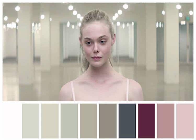 palette maniac culturainquieta9