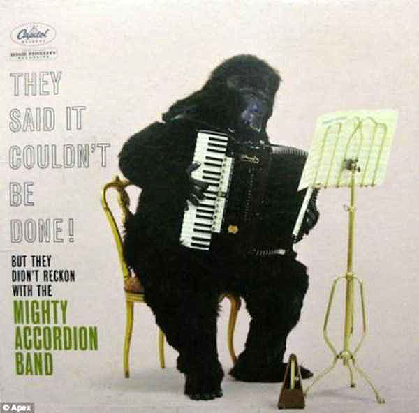 Portadas de discos creativamente absurdas