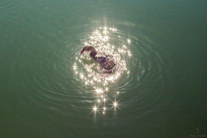 Fotografías perfectamente sincronizadas de momentos casuales