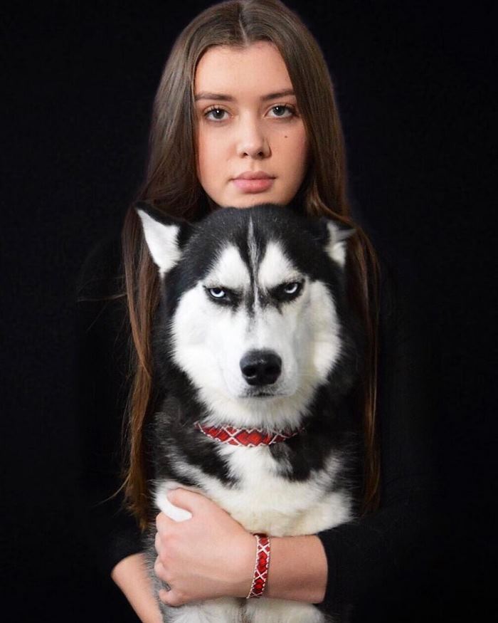 Husky Anuko navidad mal humor divertido 8