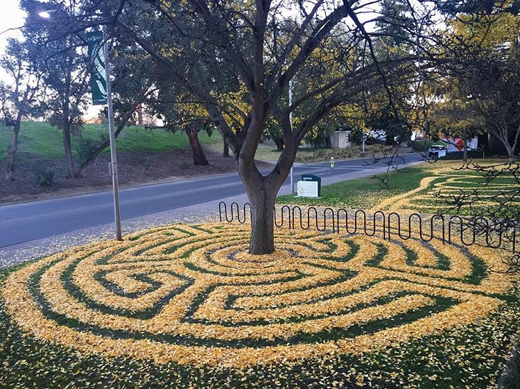 Joanna Hedrick gingko 4