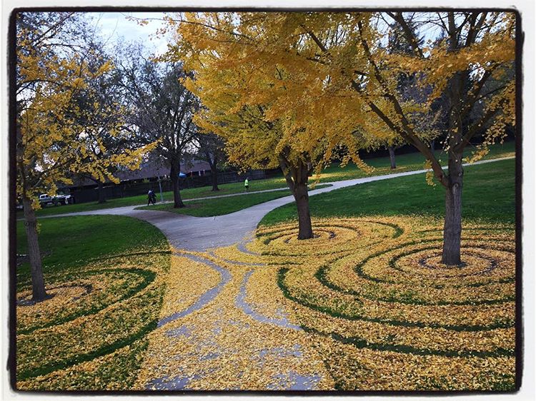 Joanna Hedrick gingko 6