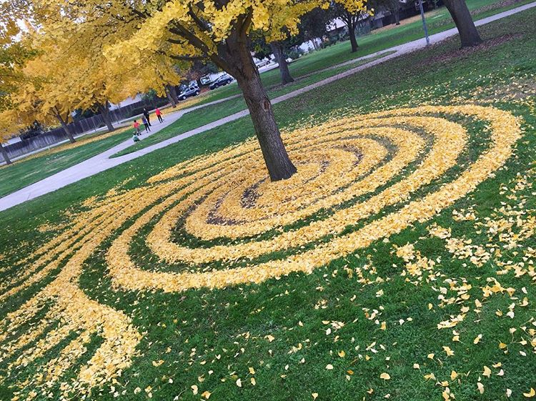 Joanna Hedrick gingko 7