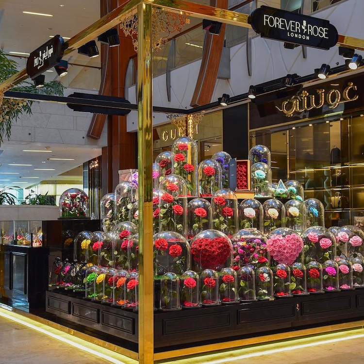 forever roses enchanted roses 1. Cultura Inquieta9
