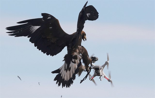 fotonoticia Reuters. Cultura Inquieta 7