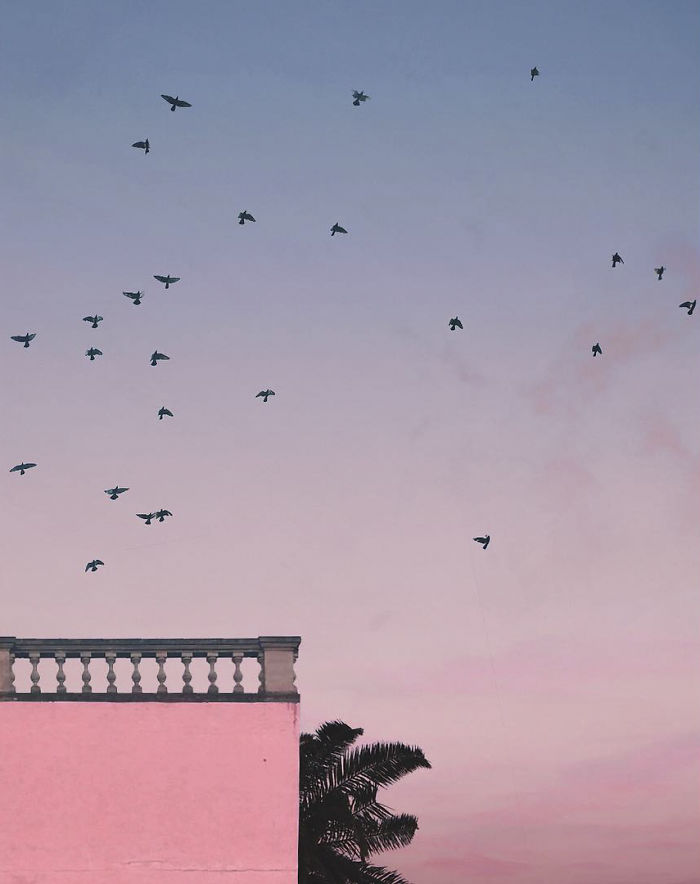 Andria Darius Pancrazi