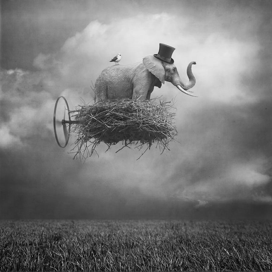 Beata Bieniak