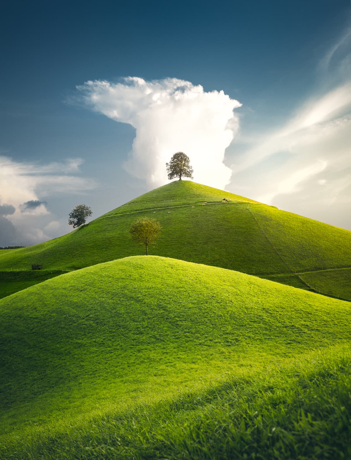 Cuma Cevik Paisaje. Cultura Inquieta12