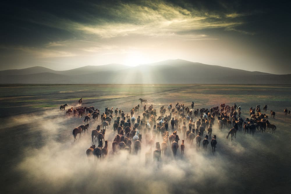 Cuma Cevik Paisaje. Cultura Inquieta2