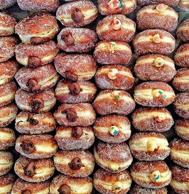Curriculums con donuts 02