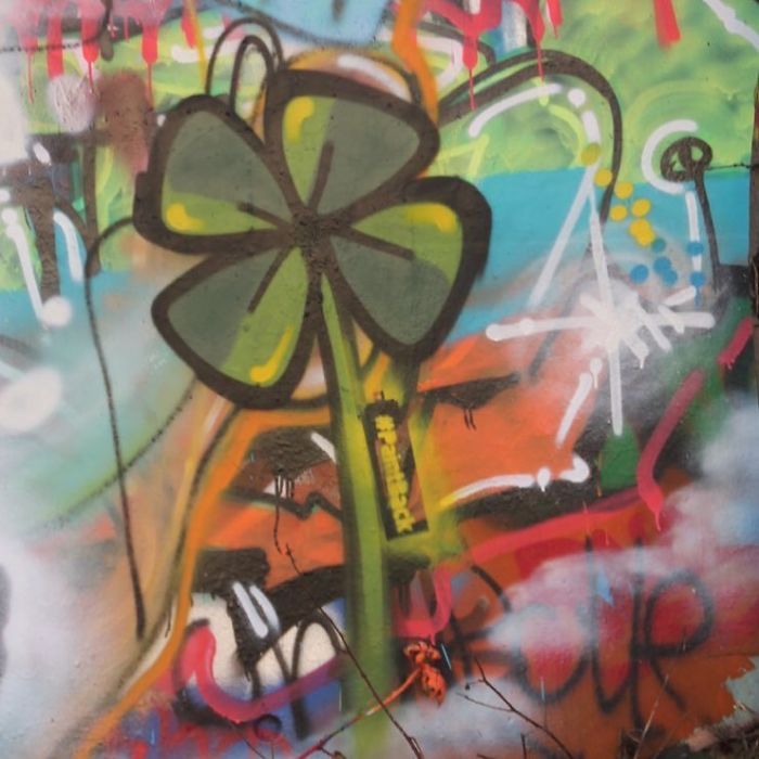 Ibo Omari borrando tachando esvasticas 6