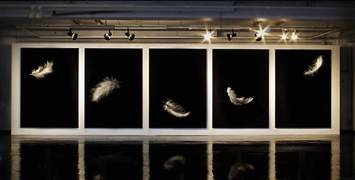 Pluma. Cultura Inquieta 5