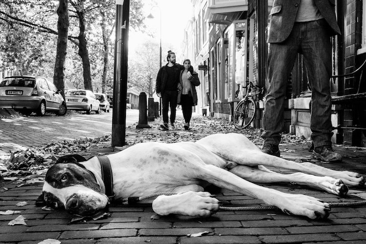 Street Photography International fotografias callejeras 11