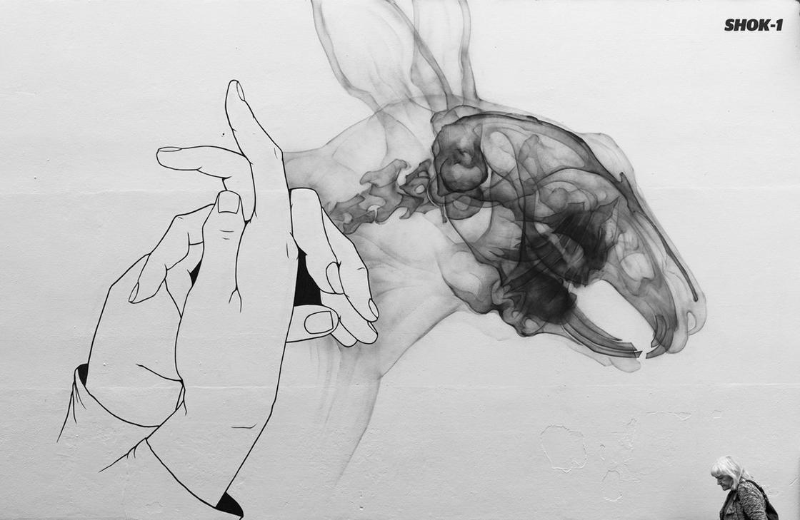 x ray street art shok. Cultura Inquieta 1