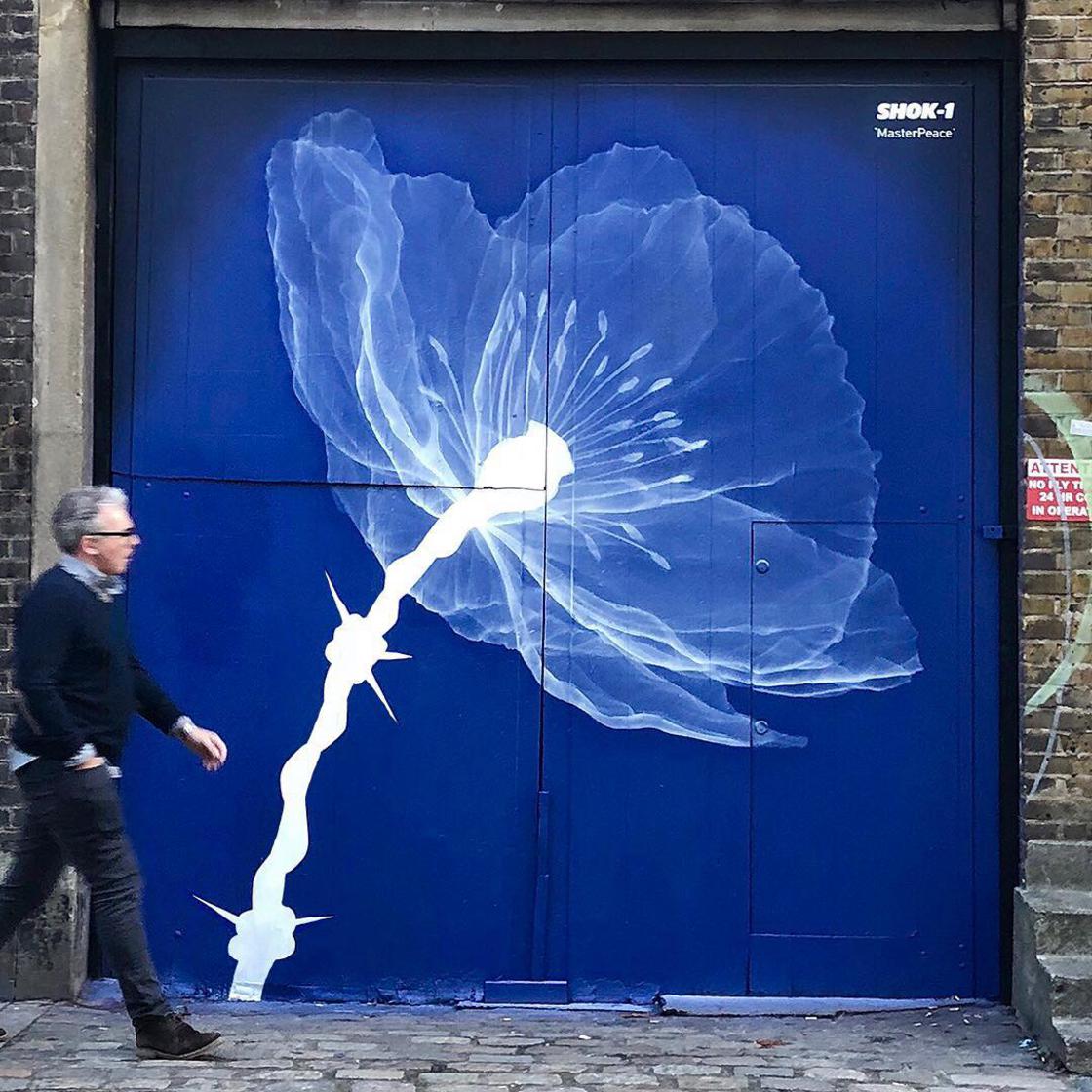 x ray street art shok. Cultura Inquieta 17