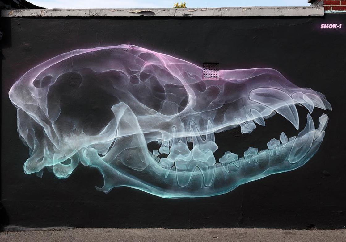 x ray street art shok. Cultura Inquieta 4