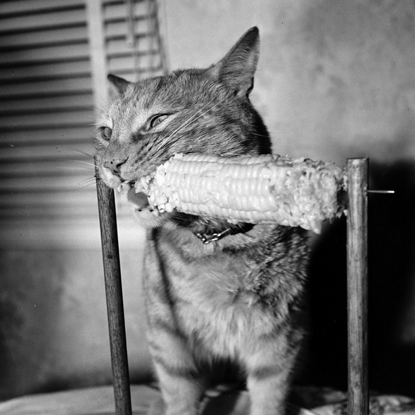 Allan Grant culturainquieta