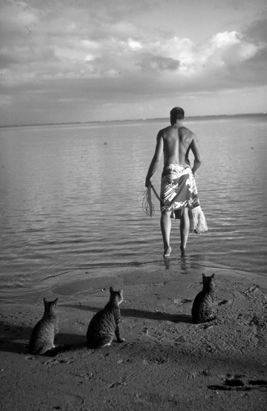 Carl Mydans culturainquieta
