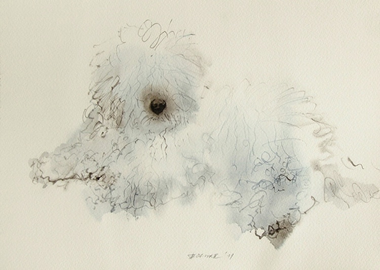 Endre Penovac. Cultura Inquieta 13