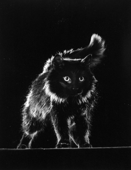 Gjon Mili culturainquieta