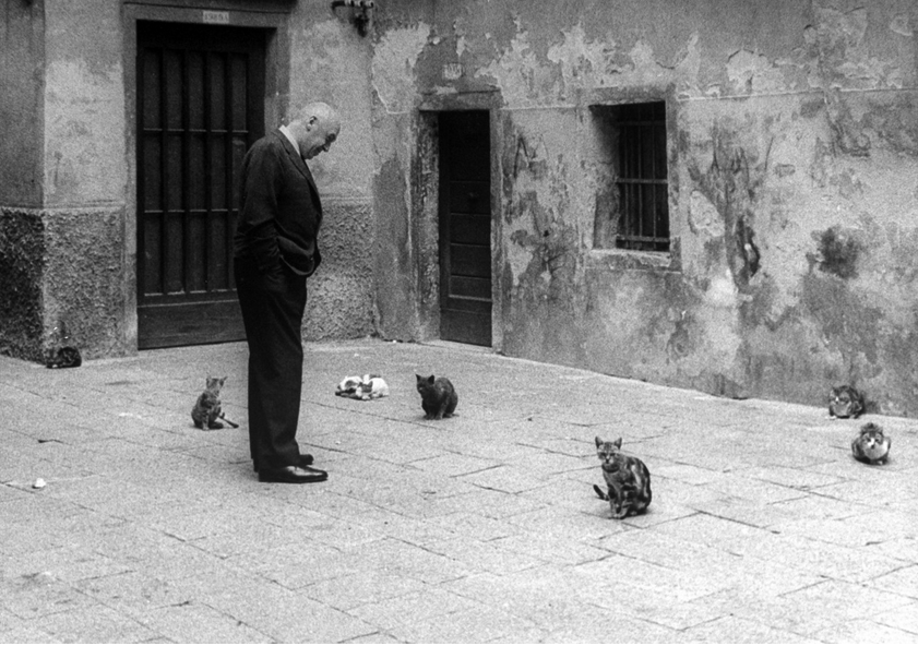Gjon Mili culturainquieta2