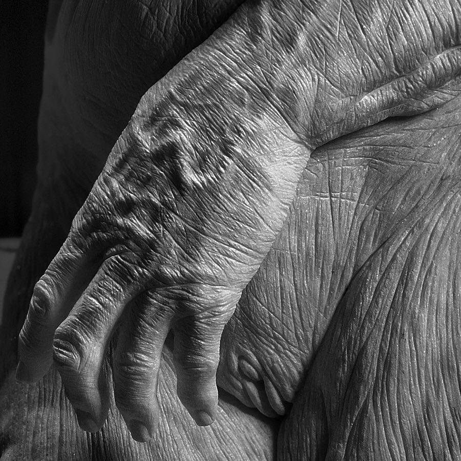 Detalle de la escultura de Jacopo Cardillo