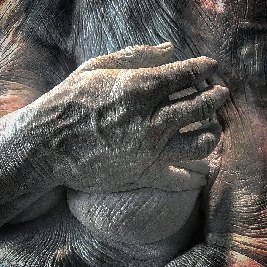 Detalle de la escultura de Jacopo Cardillo