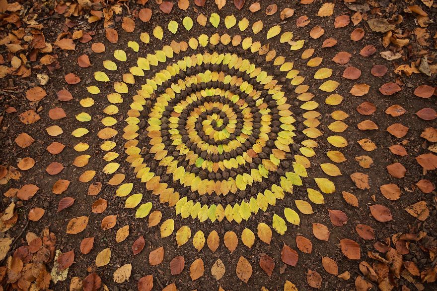 James Brunt mandalas naturaleza 11