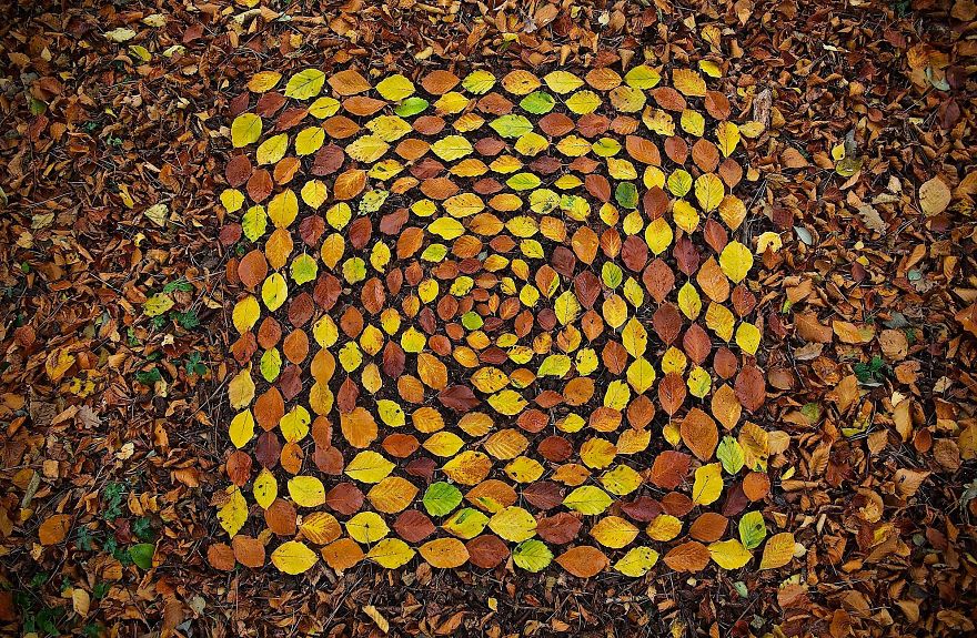 James Brunt mandalas naturaleza 12