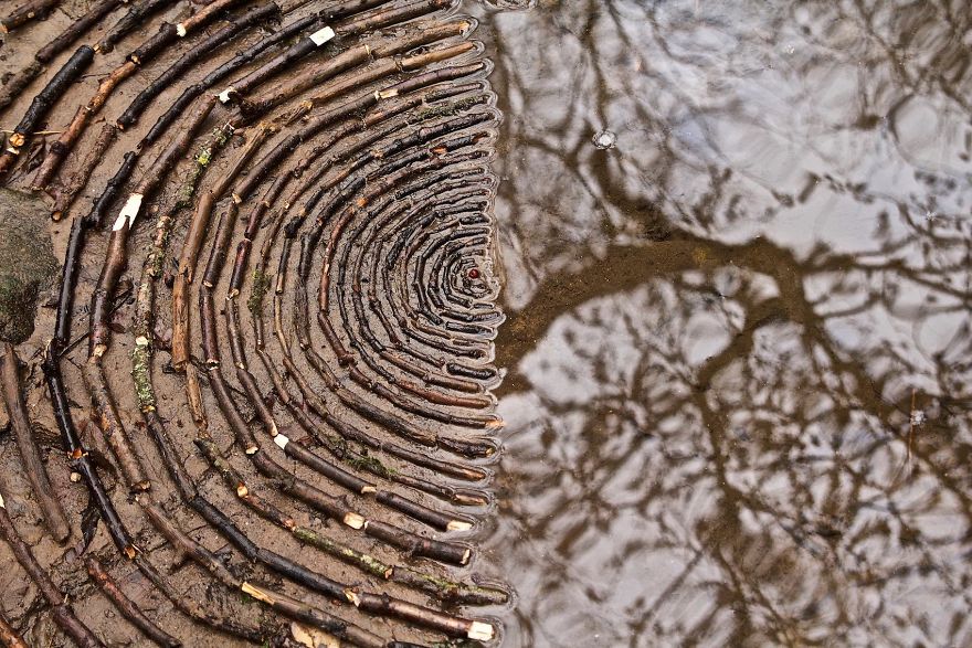 James Brunt mandalas naturaleza 13