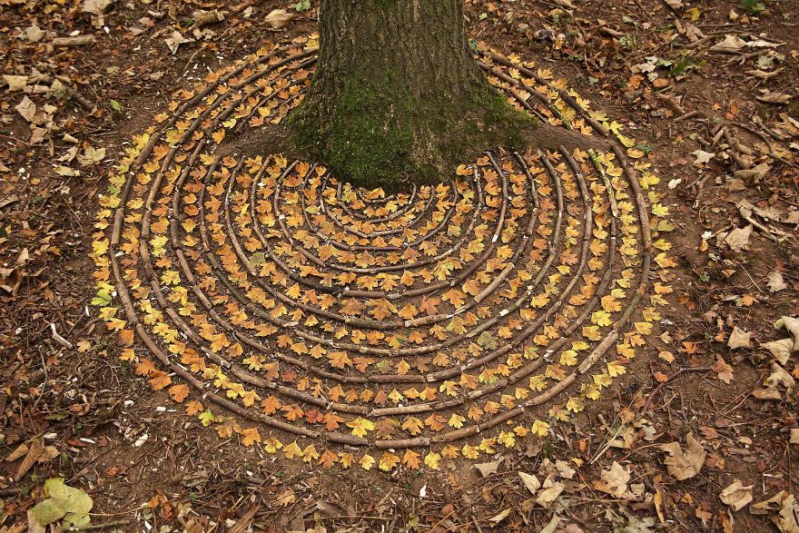 James Brunt mandalas naturaleza 14