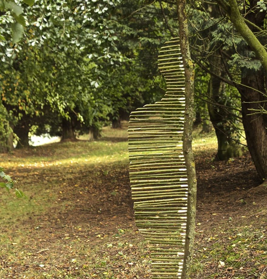 James Brunt mandalas naturaleza 15